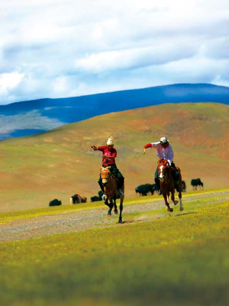 Horses dashing to the finish