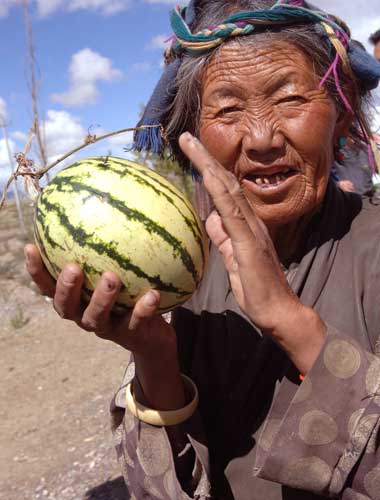 Tibetan mother in Qanggar Orchard of Nyingchi. By jogod